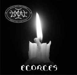 Local 1 : Ecorces